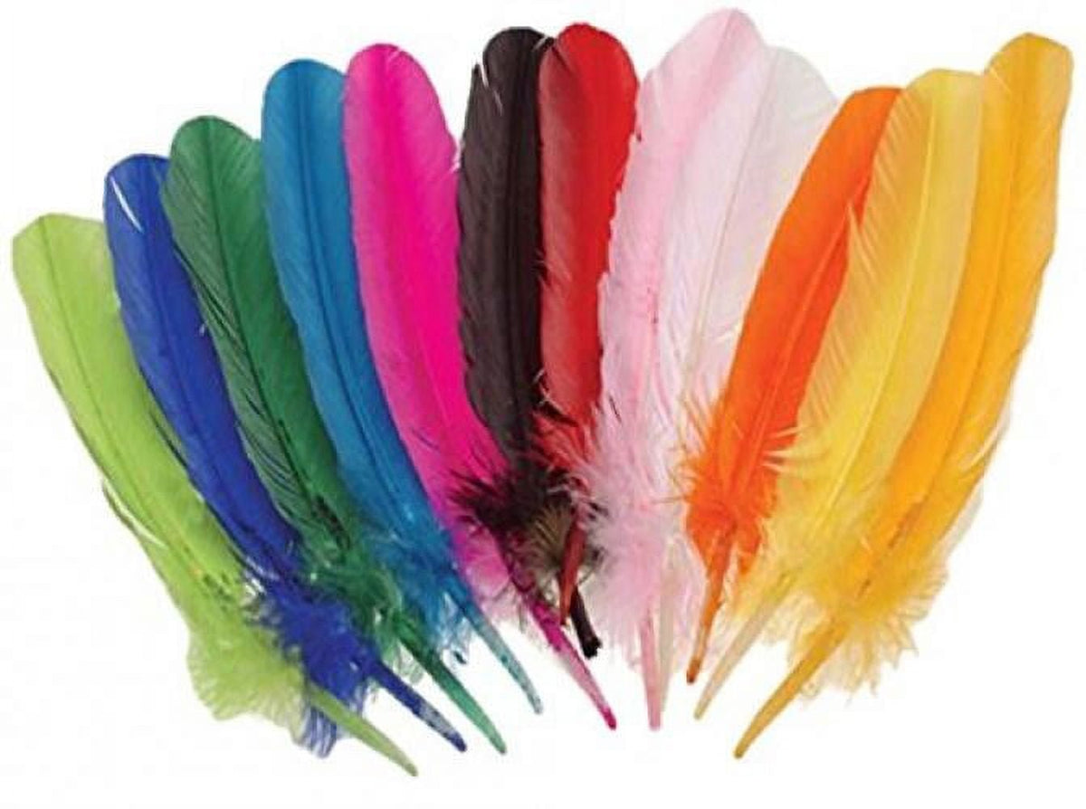 Kid Fun Turkey Feathers